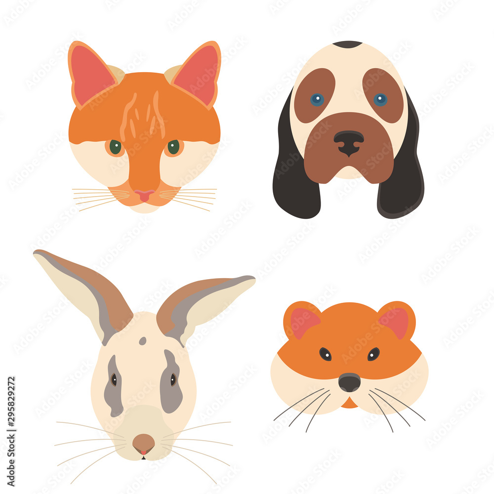 The pets are isolated on white background, set of the domestic animal.