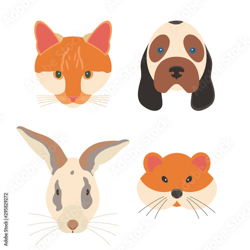 The pets are isolated on white background, set of the domestic animal.