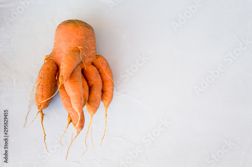 Ugly carrot. Natural organic vegetables on grey concrete background. The concept of using fertilizers and GMOs. Top view, copy space.