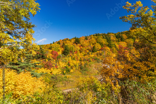 Fototapeta Naklejka Na Ścianę i Meble -  Towada Hachimantai National Park in early autumn