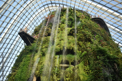 awesome view of cloud forest 