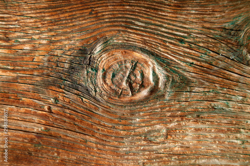 The texture of a wooden log. The texture of lumber.