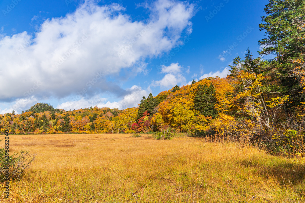 Towada Hachimantai National Park in early autumn