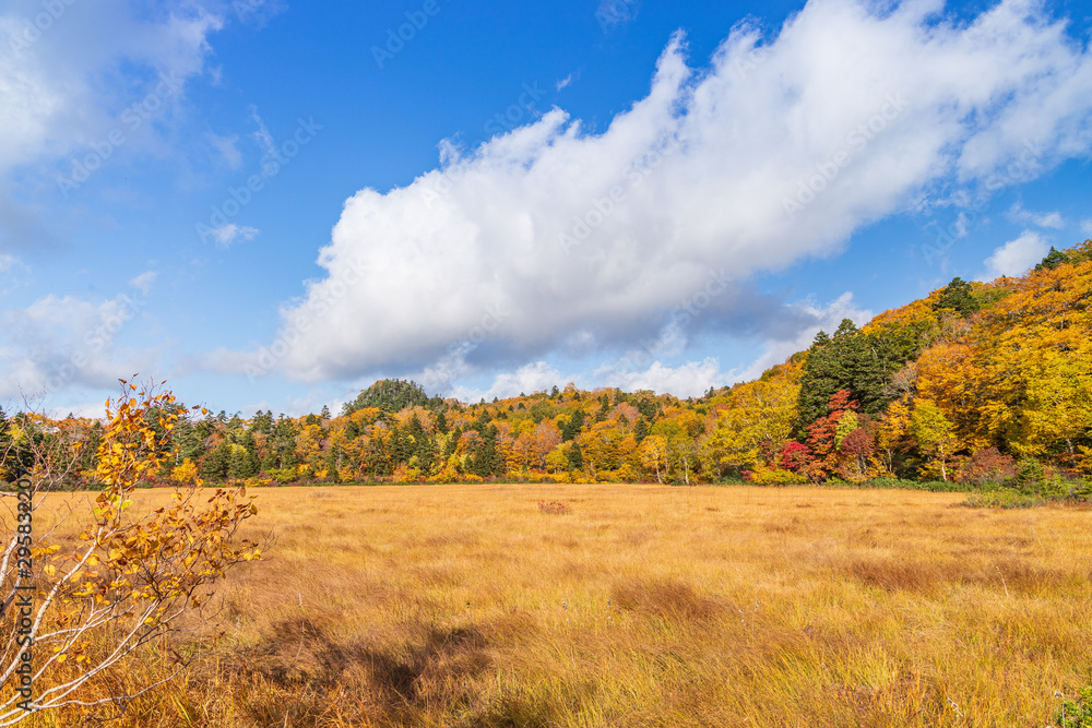Fototapeta premium Towada Hachimantai National Park in early autumn