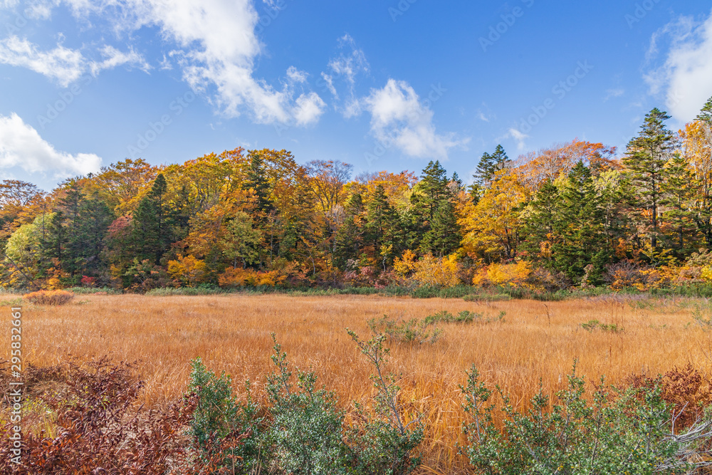 Fototapeta premium Towada Hachimantai National Park in early autumn