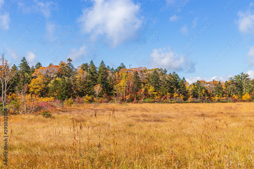 Towada Hachimantai National Park in early autumn Towada Hachimantai National Park in early autumn