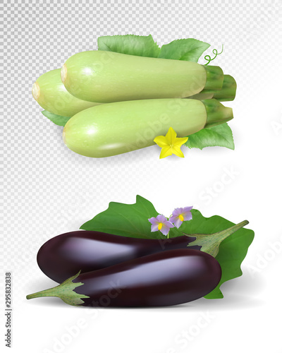 Fresh vegetable zucchini and eggplants decorated with green leaf and flower. Realistic vector on transparent background, 3d illustration