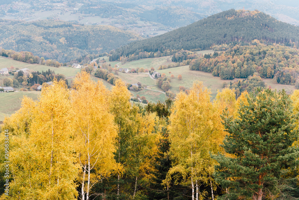 paysage automnal dans les Vosges.
Bouleaux en automne dans la montagne