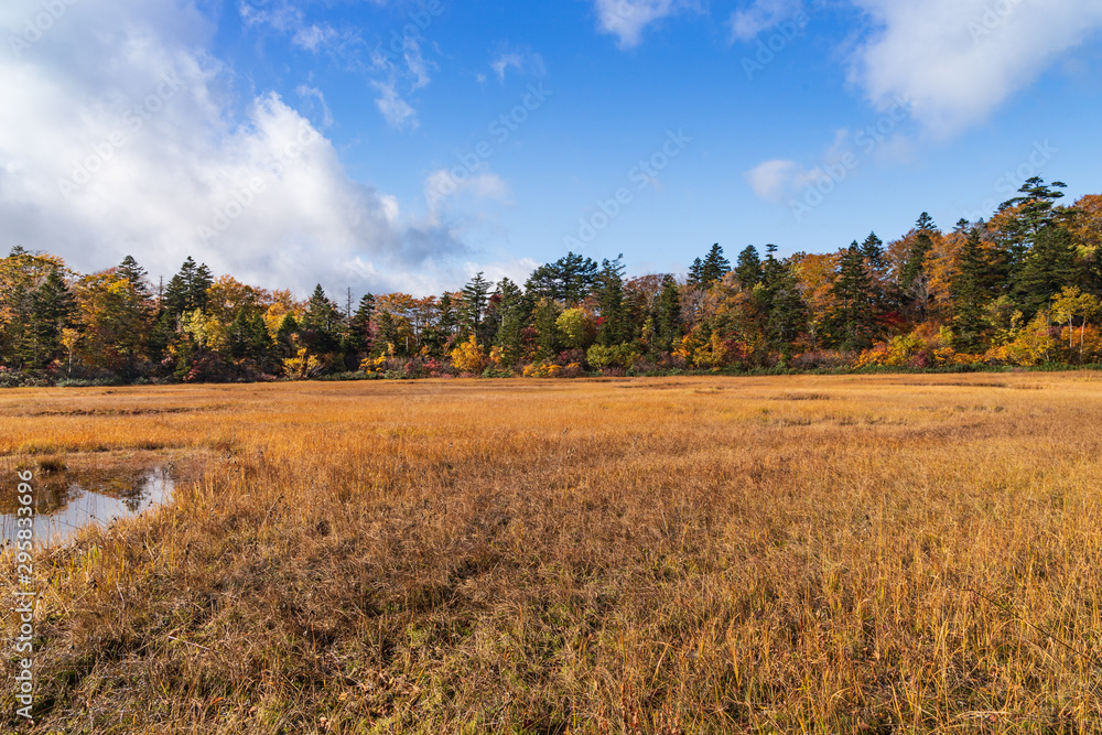 Towada Hachimantai National Park in early autumn Towada Hachimantai National Park in early autumn