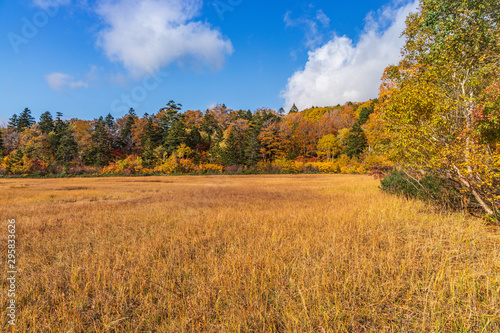 Towada Hachimantai National Park in early autumn