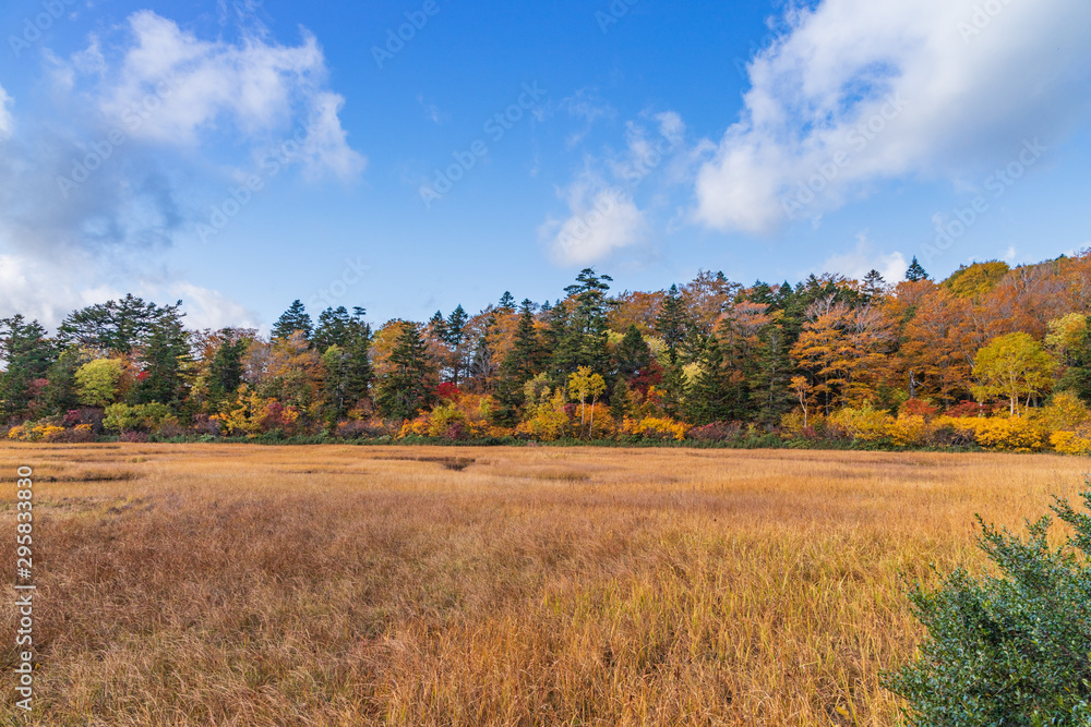 Towada Hachimantai National Park in early autumn Towada Hachimantai National Park in early autumn