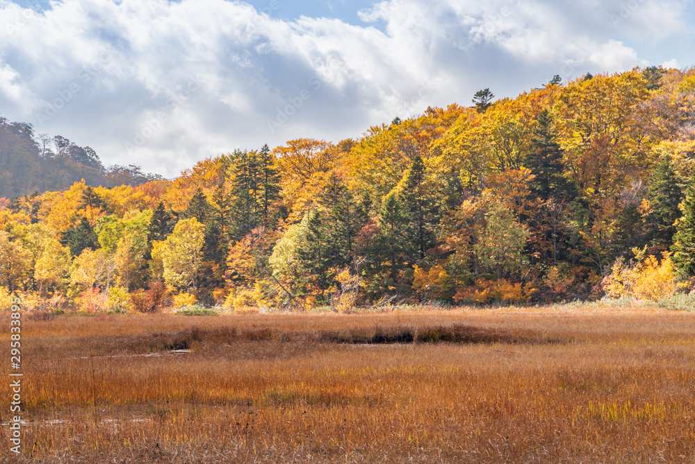 Towada Hachimantai National Park in early autumn Towada Hachimantai National Park in early autumn