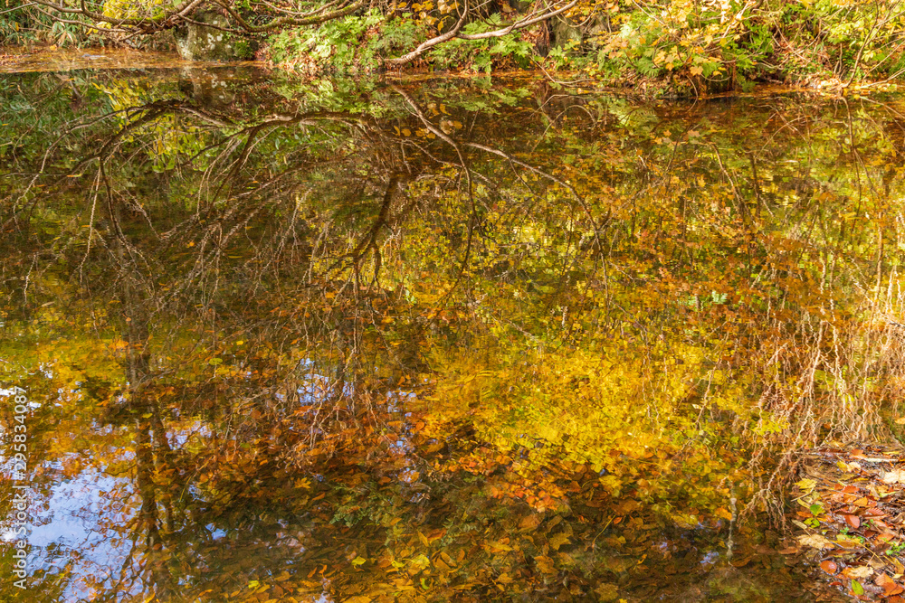 Towada Hachimantai National Park in early autumn Towada Hachimantai National Park in early autumn