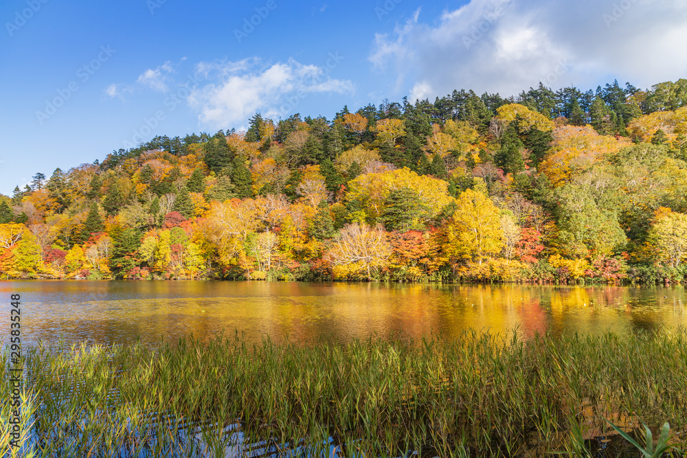 Towada Hachimantai National Park in early autumn Towada Hachimantai National Park in early autumn