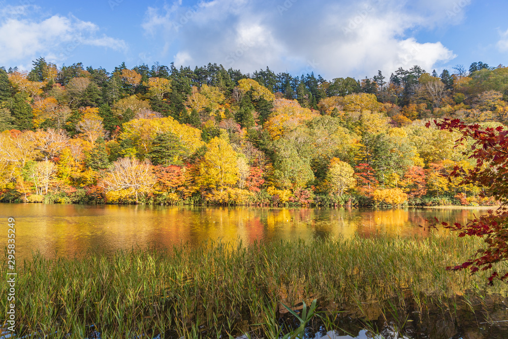 Towada Hachimantai National Park in early autumn