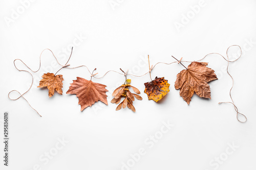 Garland made of autumn leaves on white background photo