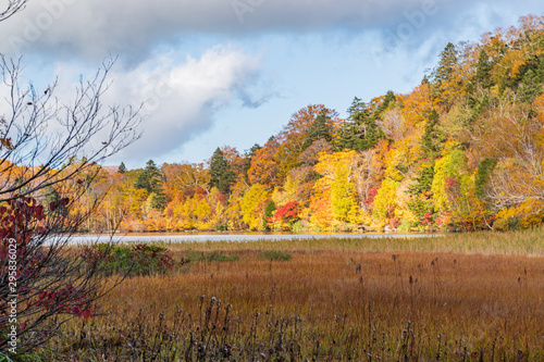 Towada Hachimantai National Park in early autumn