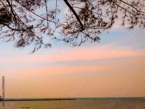 Beach and shady tree branches  sunset in the afternoon