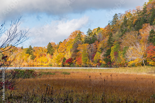 Towada Hachimantai National Park in early autumn