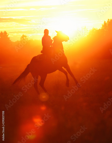Woman riding a stallion on beautiful fiery glow sunset background