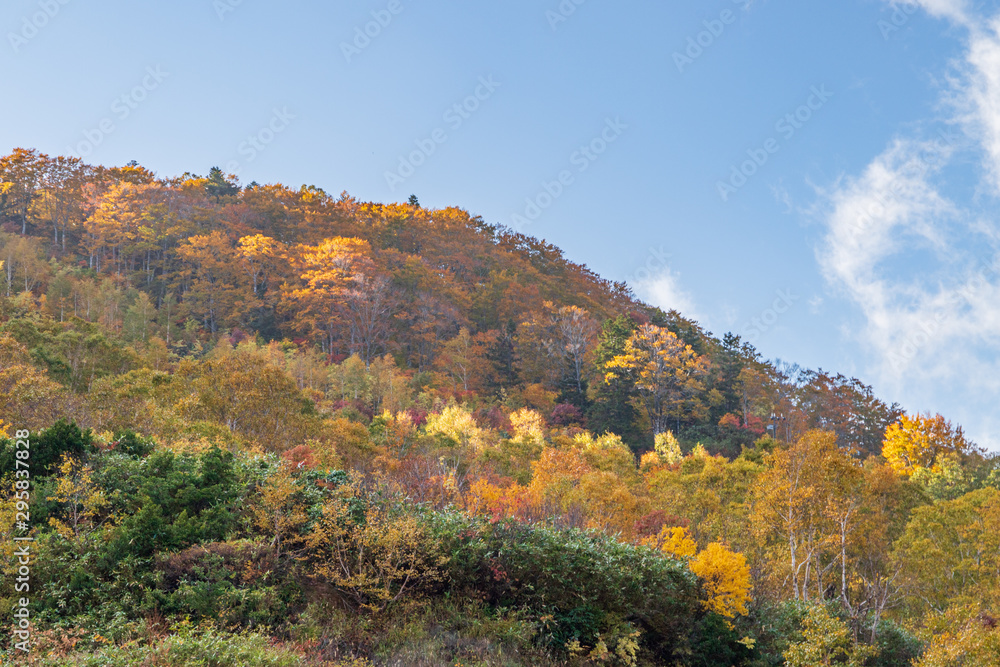 Towada Hachimantai National Park in early autumn