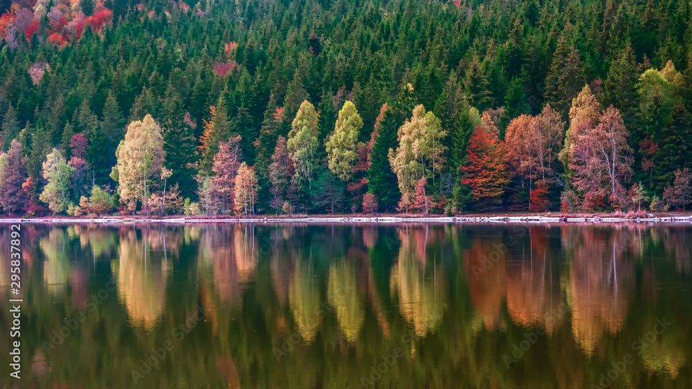 Obraz premium Beautiful landscape mountain lake volcanic natural reflection trees colors Romania 