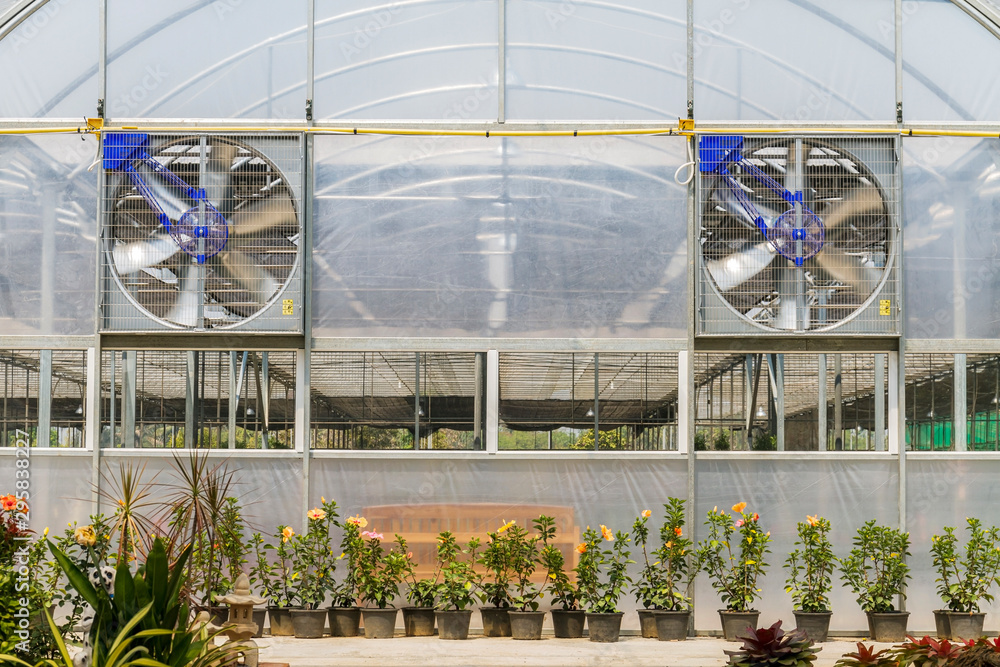 Electric ventilators on working in flower greenhouse