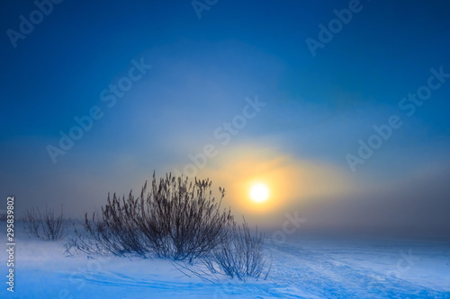Nature. Winter landscape. P...