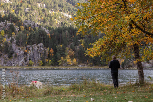 Fototapeta Naklejka Na Ścianę i Meble -  woman and dog observe under a tree with yellow and green leaves looking at the water of the mountain lake in autumn