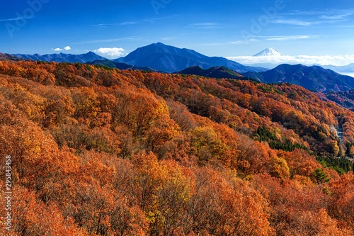 山梨県・富士山と清里の紅葉
