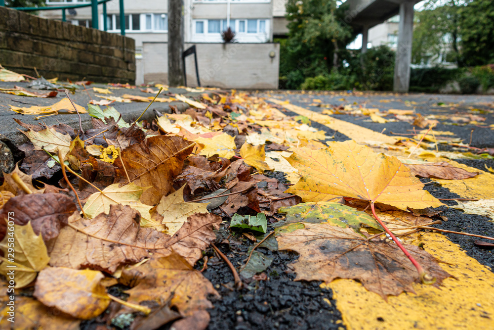 Obraz premium Autumn leaves lie up against the curb at the edge of the road partly obscuring double yellow lines.