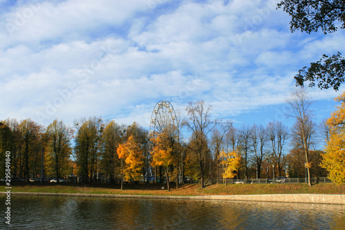 Trees in autumn © Violetta Korolkova 