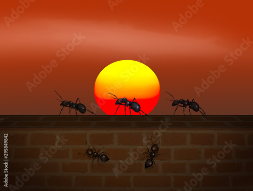 illustration of ants at sunset