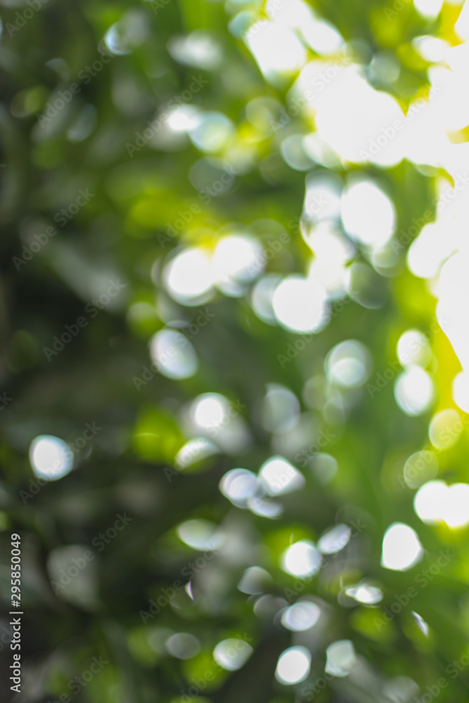 abstract green nature background with bokeh background