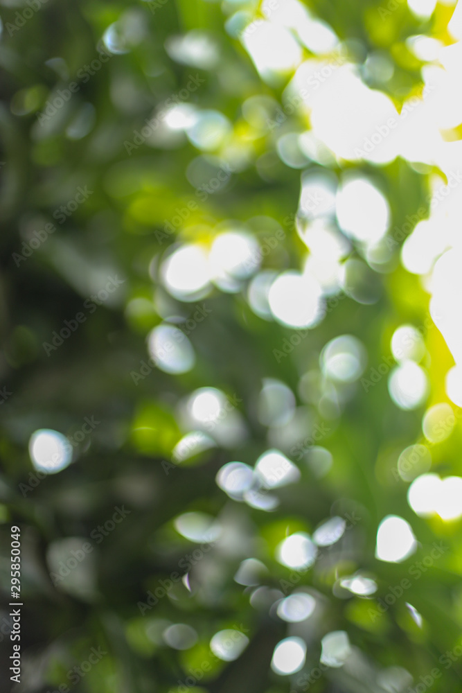 abstract green nature background with bokeh background abstract green nature background with bokeh background