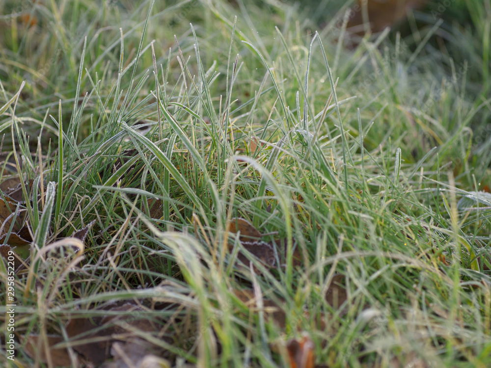 Ice crystals on green grass close up. Nature background. Ice crystals on green grass close up. Nature background.