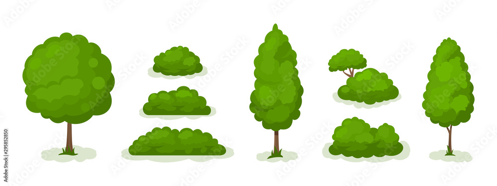 Summer. Trees set Summer. Trees set