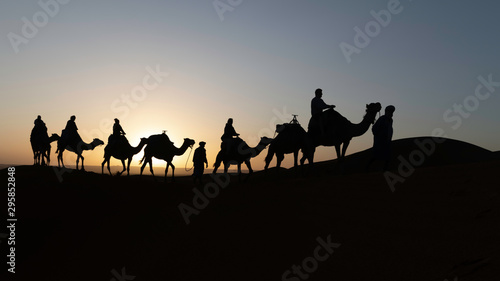 Fotografie, Obraz Silhouetted camel caravan at sunrise with sun shining behind a camel