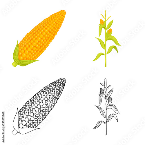 Vector illustration of cornfield and vegetable logo. Set of cornfield and vegetarian stock symbol for web.