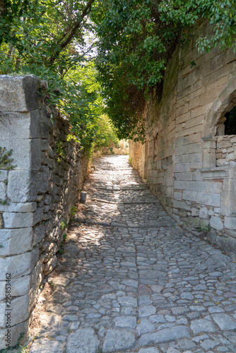 Fototapeta Naklejka Na Ścianę i Meble -  small alley street in Oppede le Vieux village in France