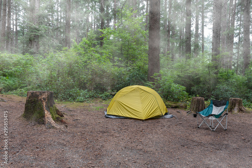 Camping in Humboldt County, California, USA, on a damp, foggy day in the coniferous forest