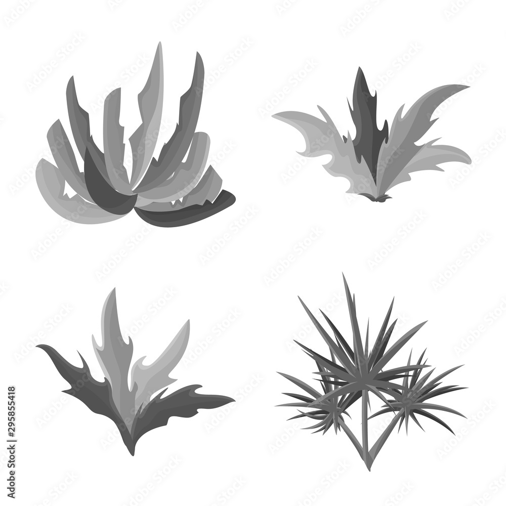 Vector illustration of foliage and floral symbol. Set of foliage and summer stock symbol for web. Vector illustration of foliage and floral symbol. Set of foliage and summer stock symbol for web.