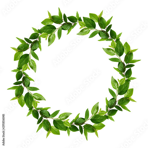 Round frame with green leaves