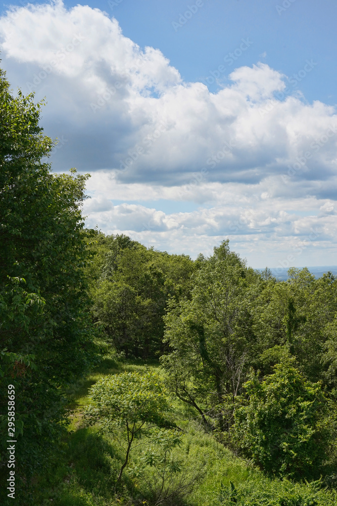 Beautiful landscape view of blue sky, clouds, and trees.