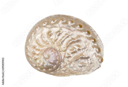 Pearl seashell isolated on white background