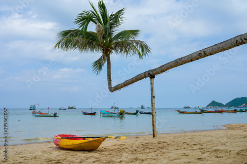 Colorful kayaks parking on tropical beach with coconut tree koh tao Island, Thailand