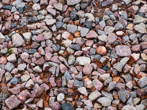 Gravel, earth and autumn leaves.