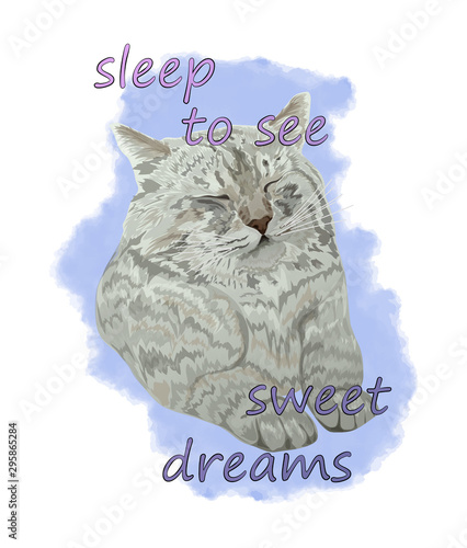 Cute cat, to sleep to see sweet dreams. Vector illustration. EPS 10.