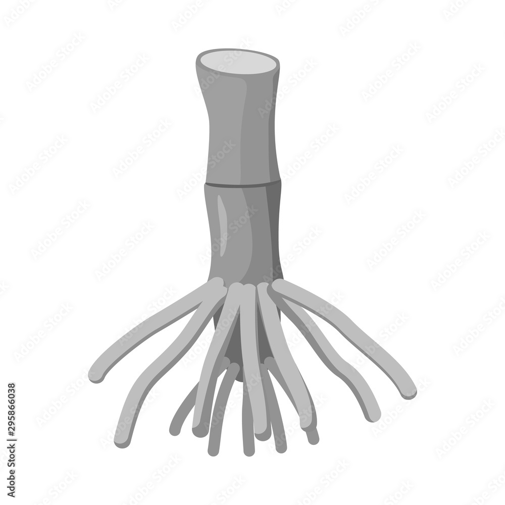 Isolated object of root and cane sign. Graphic of root and plant stock vector illustration. Isolated object of root and cane sign. Graphic of root and plant stock vector illustration.