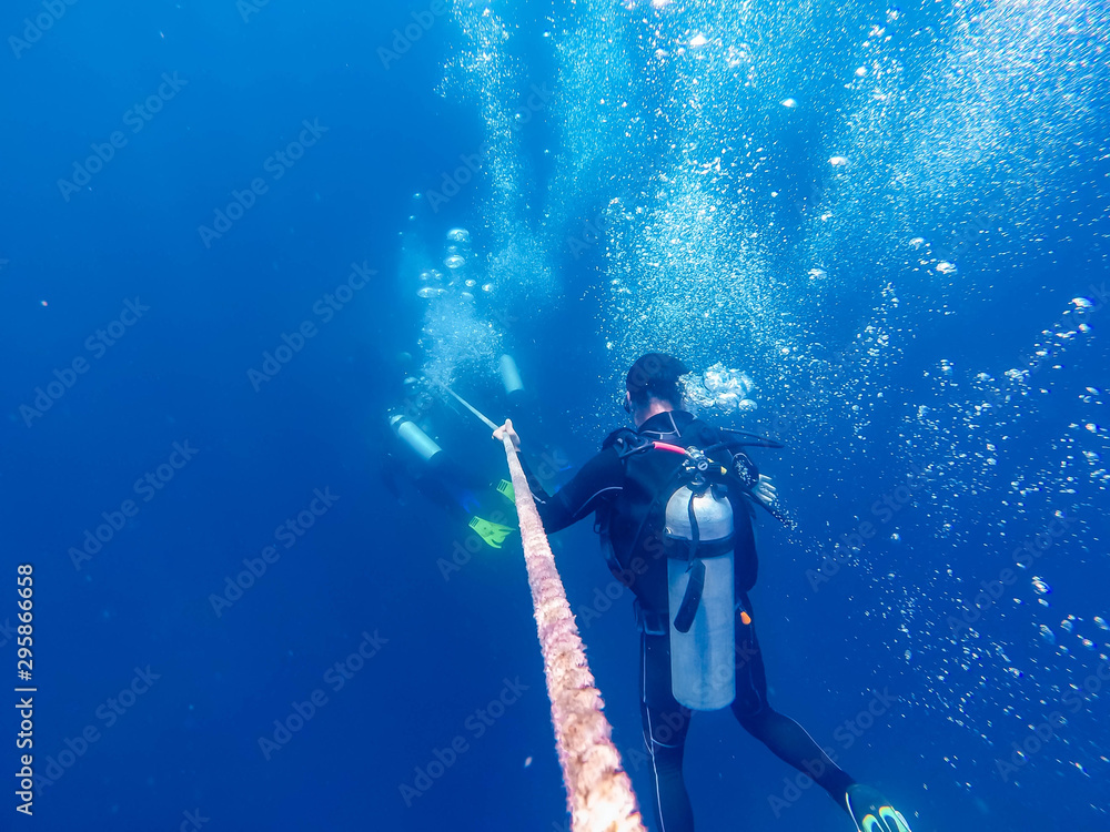 scuba diver in the sea